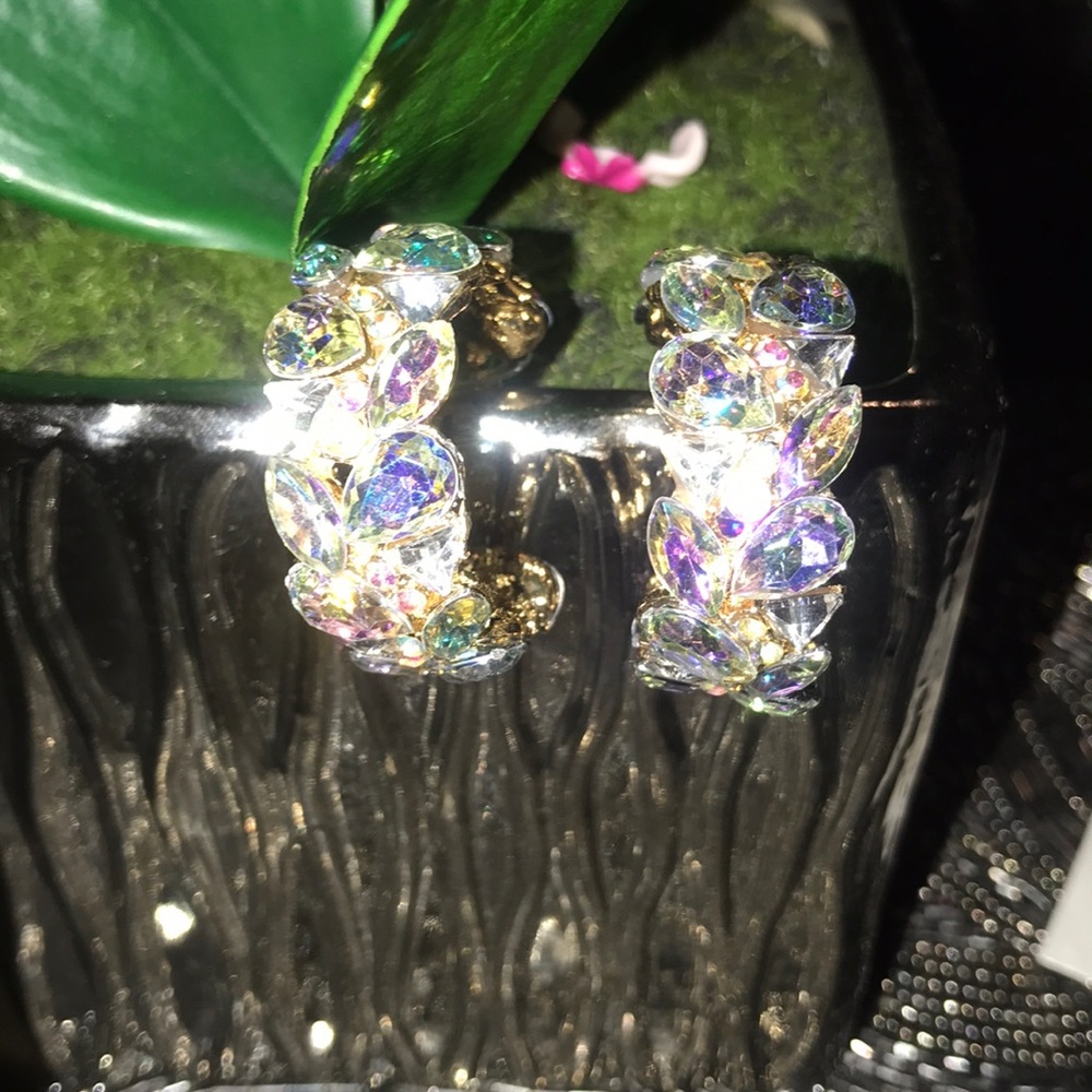 Iridescent Open Hoop Earrings.